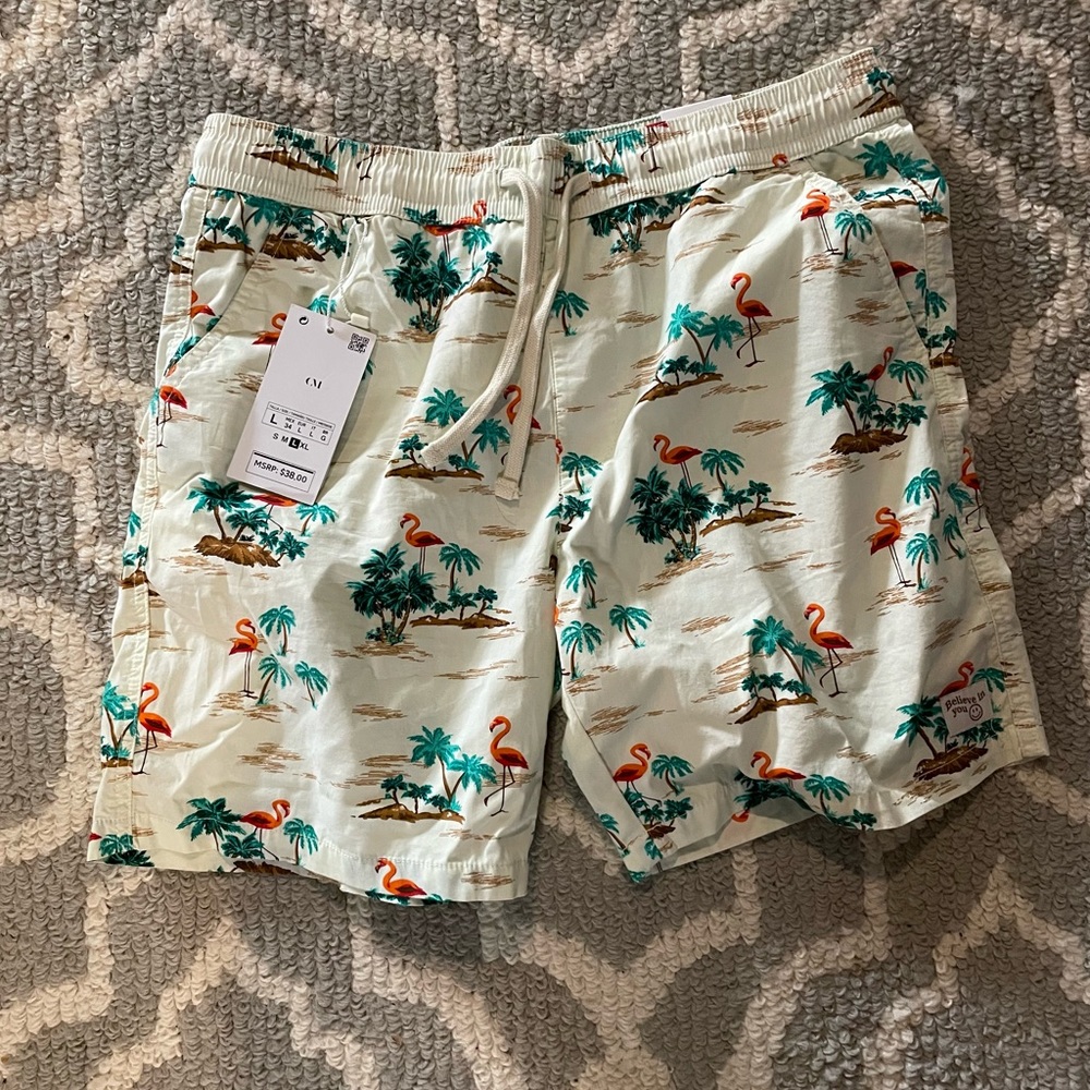 Cactus man swim trunks